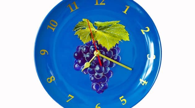 womens ceramic watches